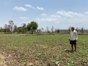 बंजर भूमि पर कुटकी और आम की सफल खेती करते मंडला के किसान भगत सिंह वरकड़े